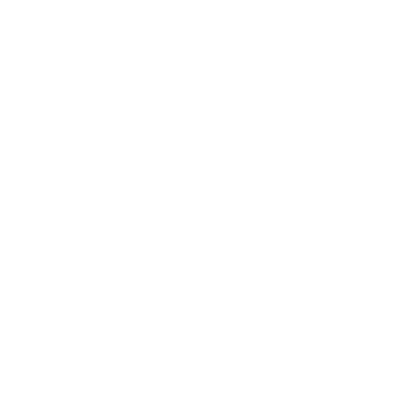 kayak icon